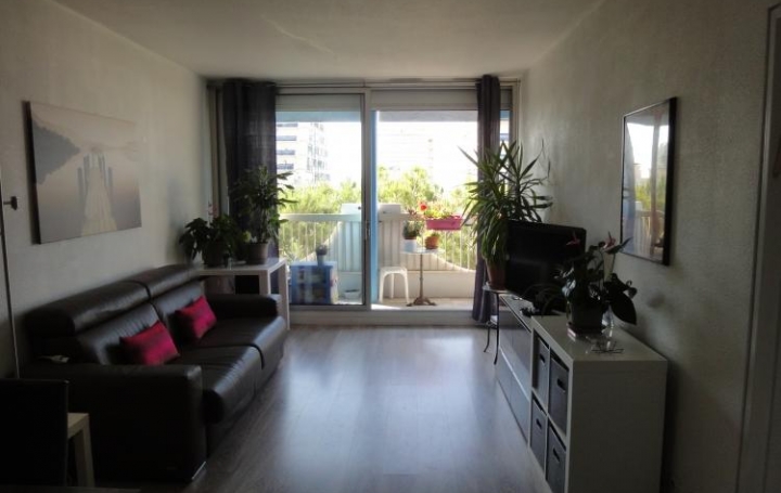AB IMMO : Appartement | LA GRANDE-MOTTE (34280) | 44 m2 | 212 000 € 