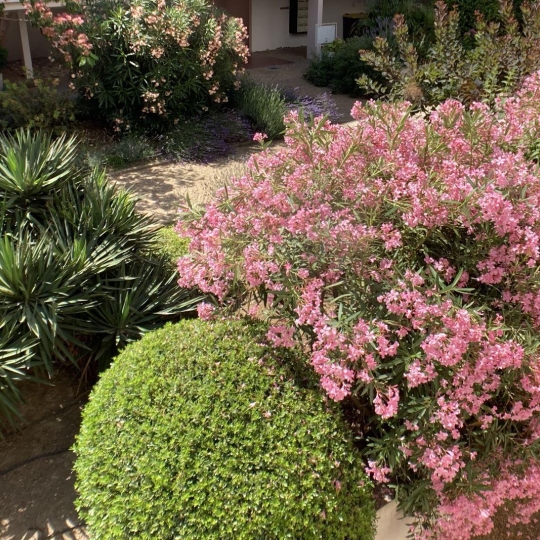  AB IMMO : Apartment | LA GRANDE-MOTTE (34280) | 51 m2 | 315 000 € 