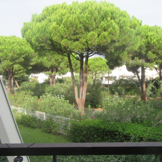 AB IMMO : Appartement | LA GRANDE-MOTTE (34280) | 25.00m2 | 118 000 € 