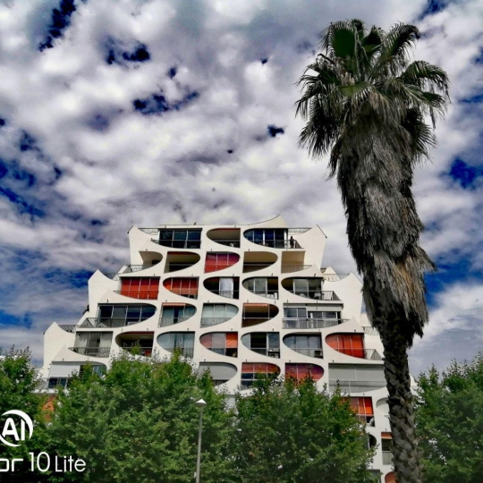 AB IMMO : Appartement | LA GRANDE-MOTTE (34280) | 57.00m2 | 310 000 € AB IMMO : Appartement | LA GRANDE-MOTTE (34280) | 57.00m2 | 310 000 €