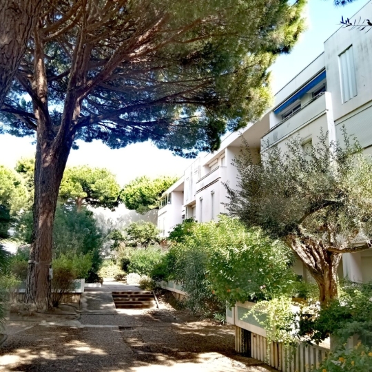 AB IMMO : Appartement | LA GRANDE-MOTTE (34280) | 55.00m2 | 199 000 € 