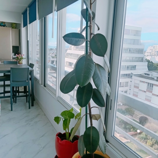  AB IMMO : Appartement | LA GRANDE-MOTTE (34280) | 60 m2 | 369 000 &euro; 