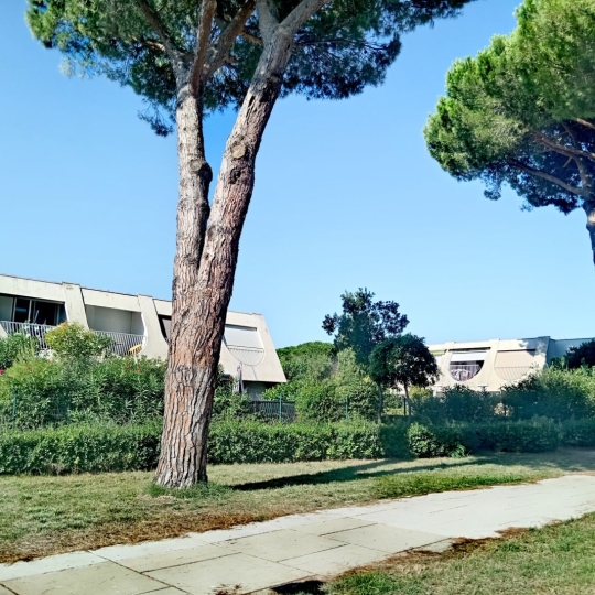  AB IMMO : Appartement | LA GRANDE-MOTTE (34280) | 21 m2 | 112 000 &euro; 