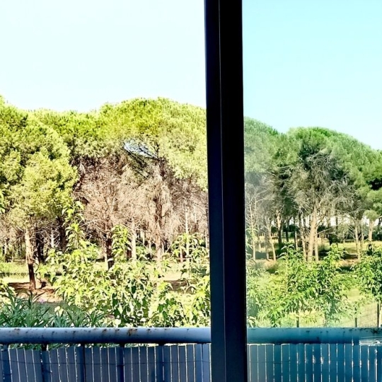  AB IMMO : Appartement | LA GRANDE-MOTTE (34280) | 21 m2 | 112 000 &euro; 
