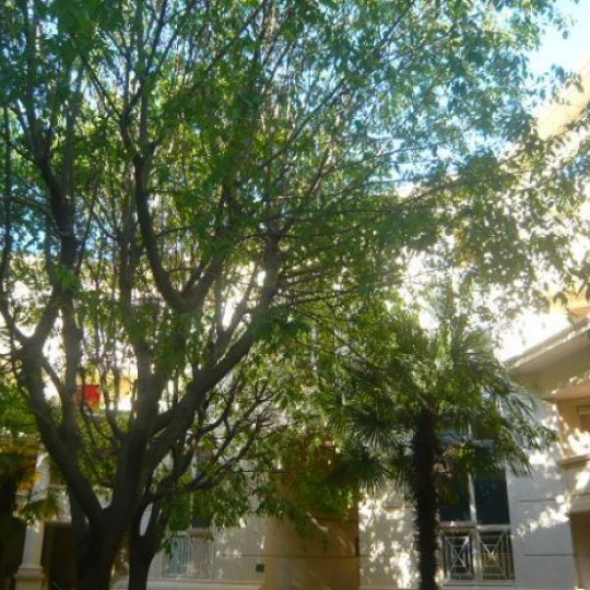  AB IMMO : Appartement | MONTPELLIER (34000) | 47 m2 | 168 000 &euro; 