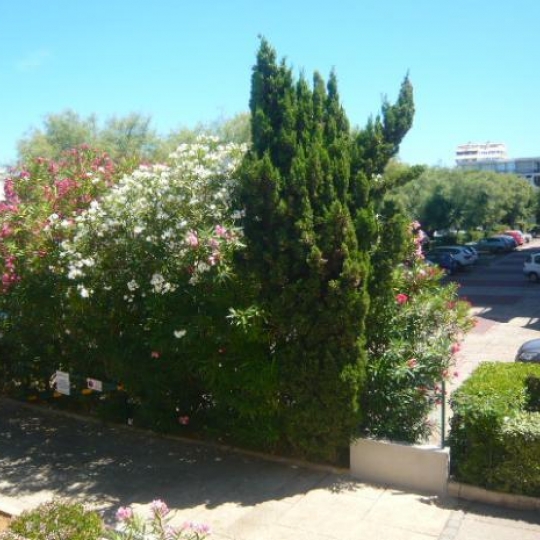  AB IMMO : Appartement | LA GRANDE-MOTTE (34280) | 23 m2 | 75 000 &euro; 
