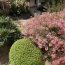  AB IMMO : Apartment | LA GRANDE-MOTTE (34280) | 51 m2 | 315 000 € 
