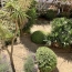  AB IMMO : Apartment | LA GRANDE-MOTTE (34280) | 51 m2 | 315 000 € 