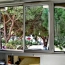  AB IMMO : Apartment | LA GRANDE-MOTTE (34280) | 68 m2 | 315 000 &euro; 