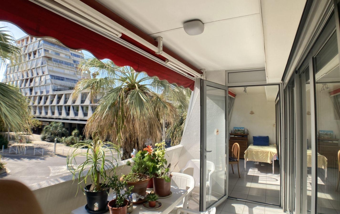 AB IMMO : Apartment | LA GRANDE-MOTTE (34280) | 50 m2 | 315 000 € 