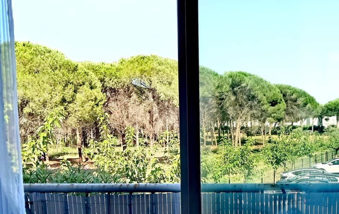 AB IMMO : Appartement | LA GRANDE-MOTTE (34280) | 21 m2 | 112 000 &euro; 