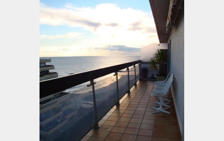 AB IMMO : Appartement | CASTRIES (34160) | 36 m2 | 0 &euro; 