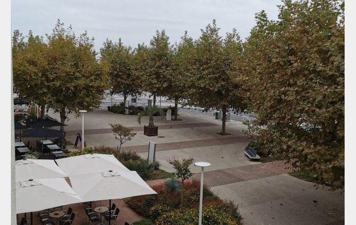 Appartement P2 LA GRANDE-MOTTE 45 m2 600 € Appartement P2 LA GRANDE-MOTTE 45 m2 600 €
