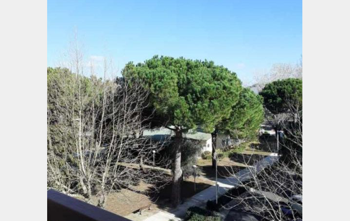 AB IMMO : Apartment | LA GRANDE-MOTTE (34280) | 47 m2 | 235 000 € 