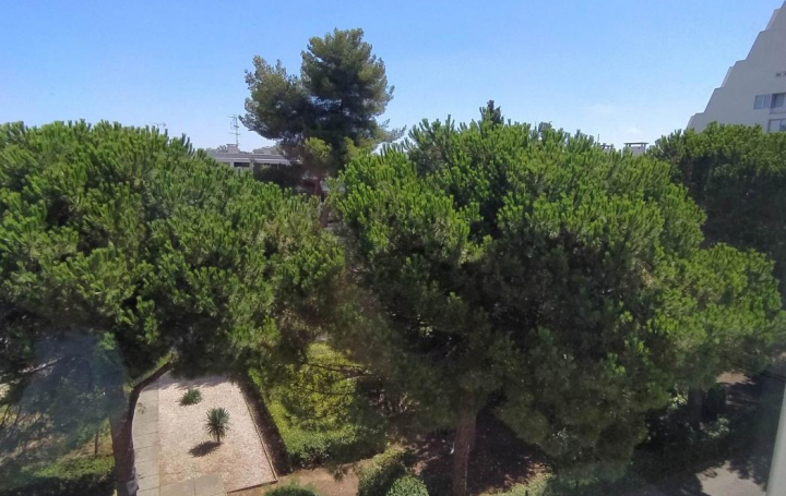 AB IMMO : Apartment | LA GRANDE-MOTTE (34280) | 50 m2 | 217 000 € 