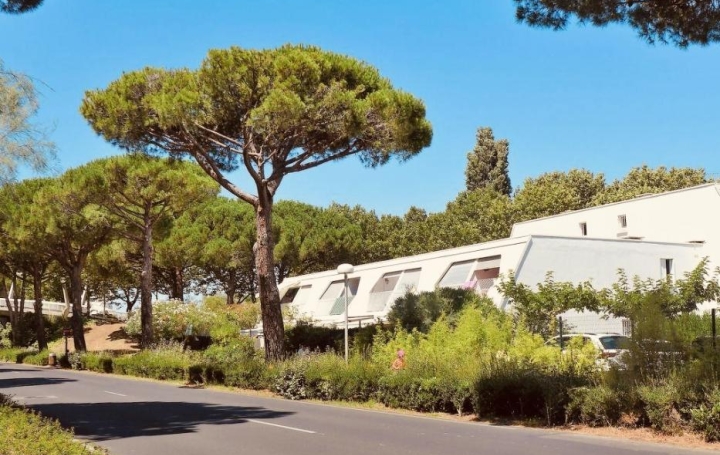 AB IMMO : Apartment | LA GRANDE-MOTTE (34280) | 20 m2 | 85 000 € 
