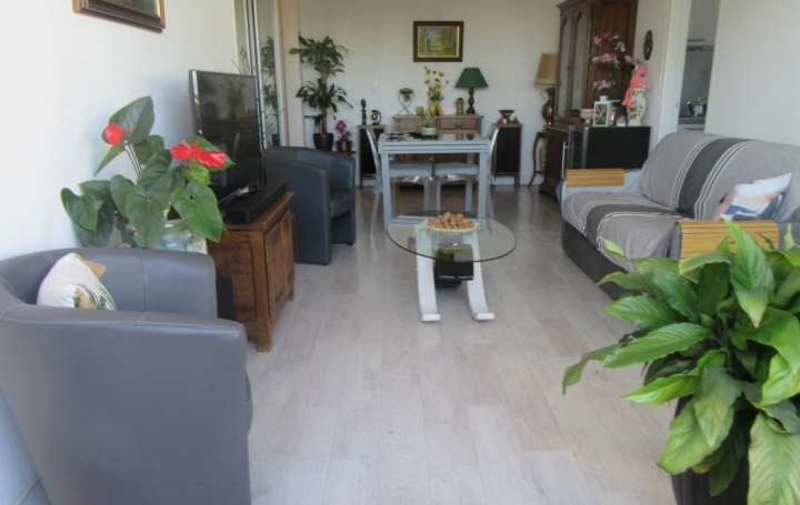 AB IMMO : Appartement | LA GRANDE-MOTTE (34280) | 47 m2 | 341 000 € 