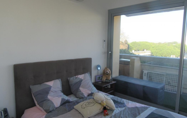 AB IMMO : Appartement | LA GRANDE-MOTTE (34280) | 47 m2 | 341 000 € 