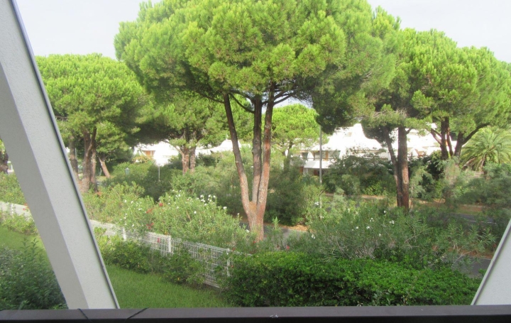 Appartement P2 LA GRANDE-MOTTE 25 m2 118 000 € Appartement P2 LA GRANDE-MOTTE 25 m2 118 000 €