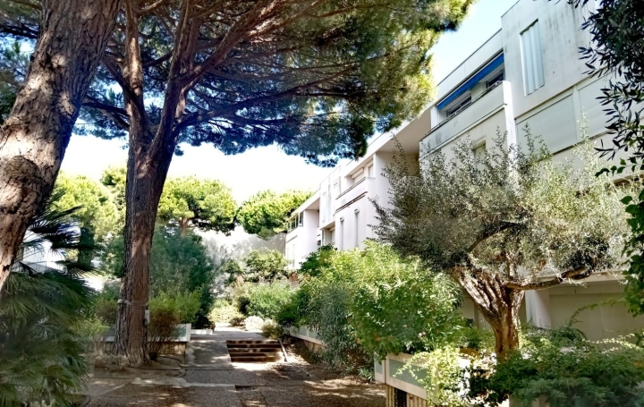  AB IMMO Apartment | LA GRANDE-MOTTE (34280) | 55 m2 | 199 000 € 