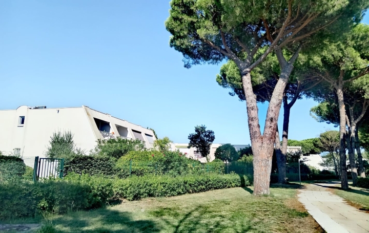 Studio   LA GRANDE-MOTTE  21 m2 112 000 € 
