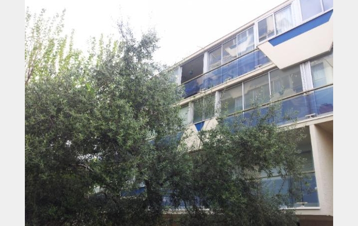 AB IMMO : Appartement | LA GRANDE-MOTTE (34280) | 30 m2 | 88 000 &euro; 
