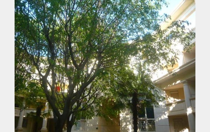 AB IMMO : Appartement | MONTPELLIER (34000) | 47 m2 | 168 000 &euro; 