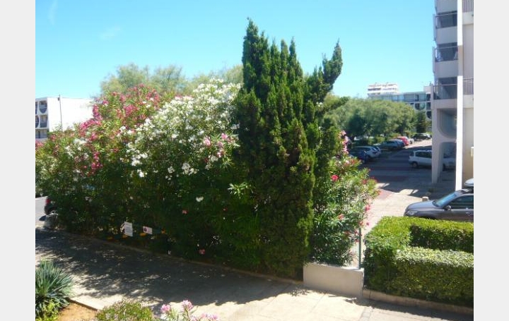 AB IMMO : Appartement | LA GRANDE-MOTTE (34280) | 23 m2 | 75 000 &euro; 